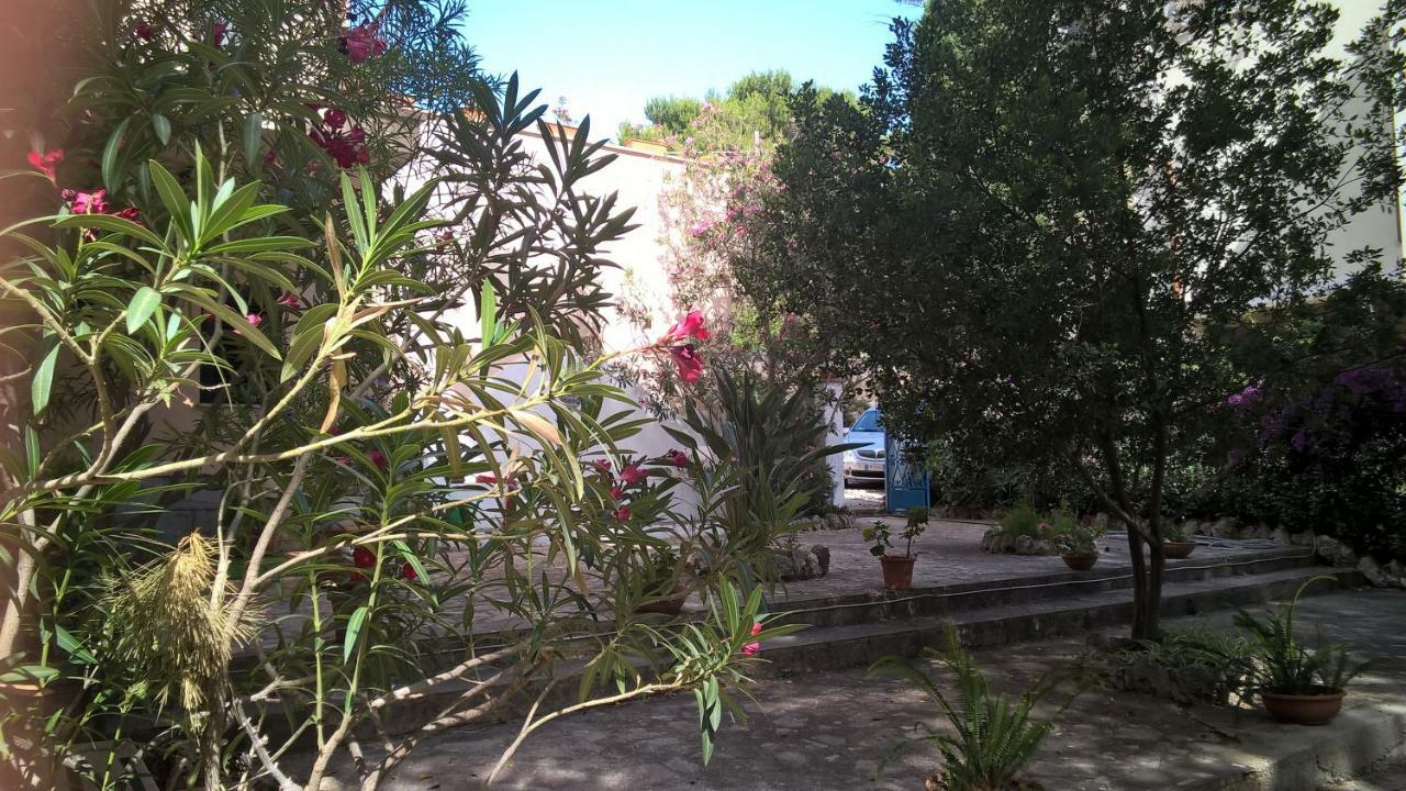 B&B Villa Il Carrubo San Vito Lo Capo Exterior photo
